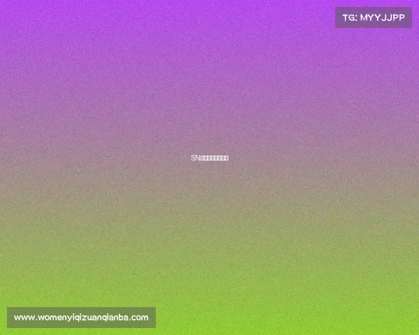 SN新篇：无畏竞未来